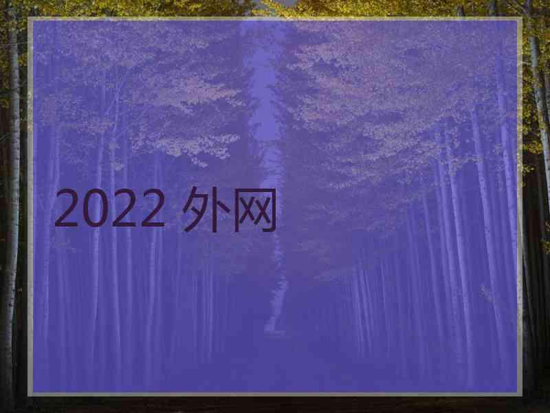 2022 外网