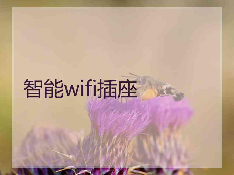 智能wifi插座