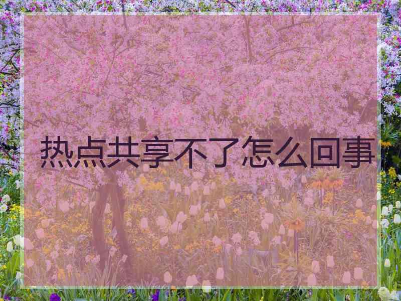 热点共享不了怎么回事
