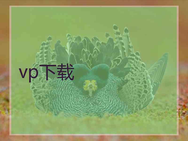 vp下载