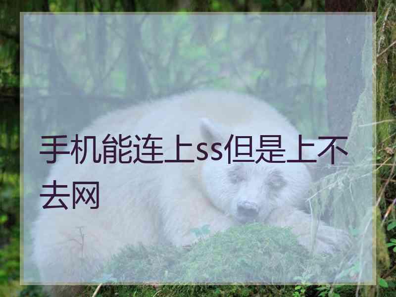 手机能连上ss但是上不去网