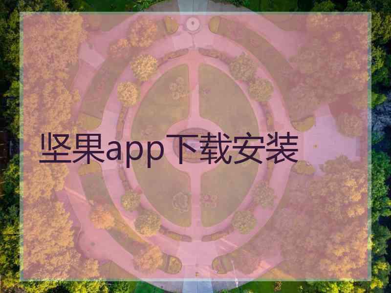 坚果app下载安装