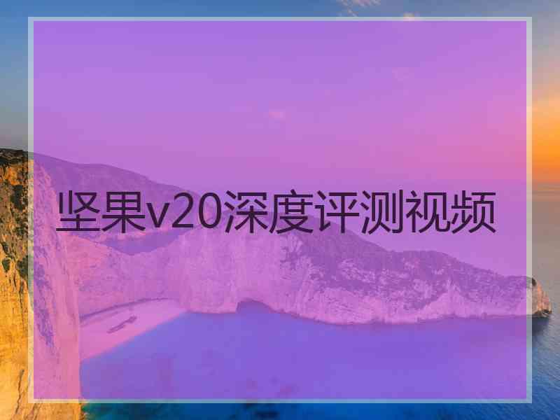 坚果v20深度评测视频