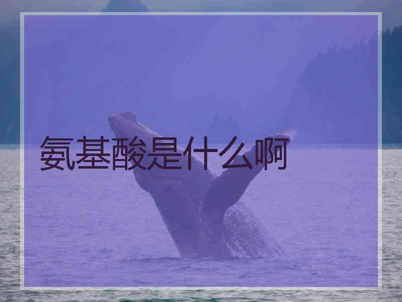 氨基酸是什么啊