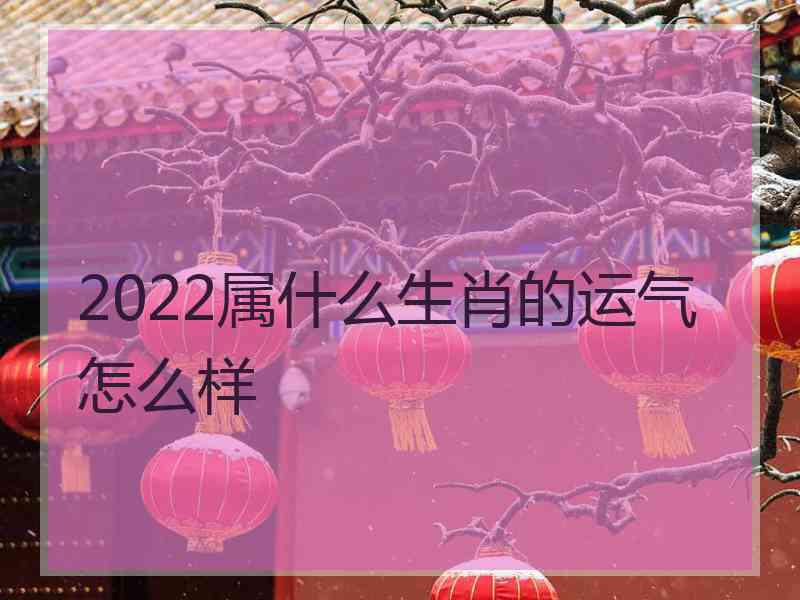 2022属什么生肖的运气怎么样