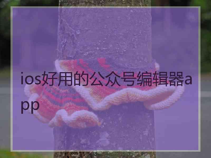 ios好用的公众号编辑器app