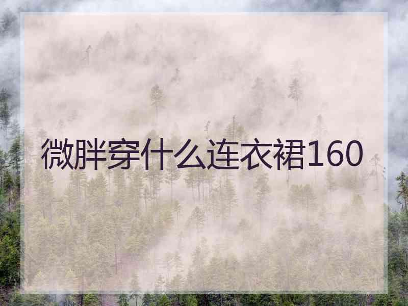微胖穿什么连衣裙160