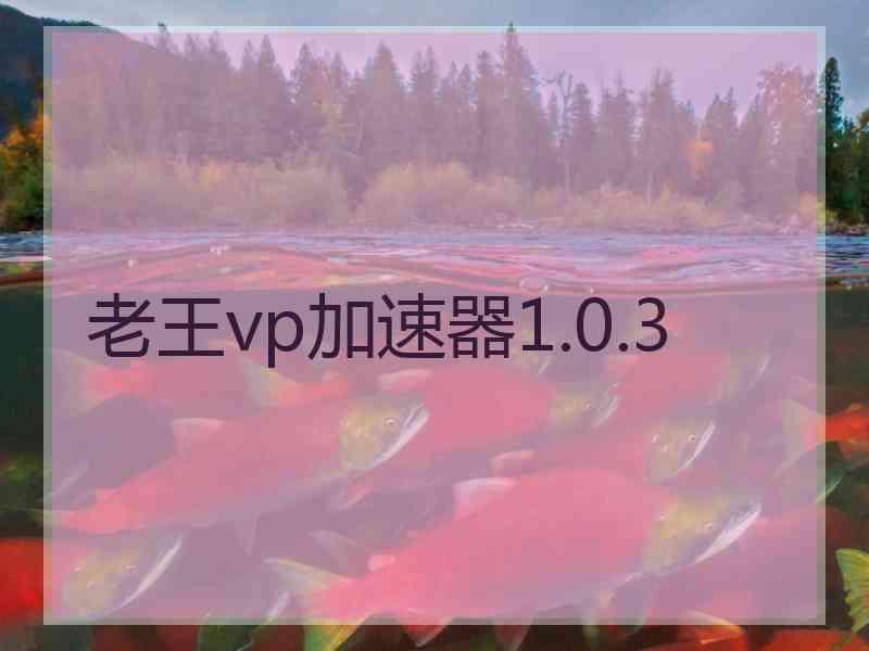 老王vp加速器1.0.3