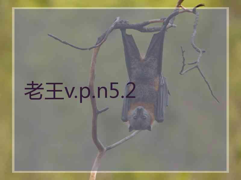 老王v.p.n5.2