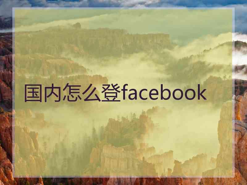 国内怎么登facebook