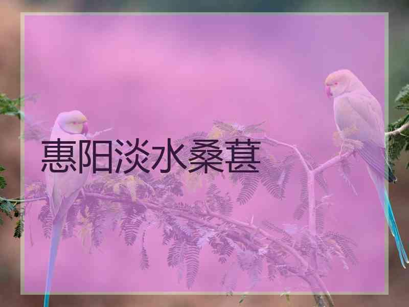 惠阳淡水桑葚