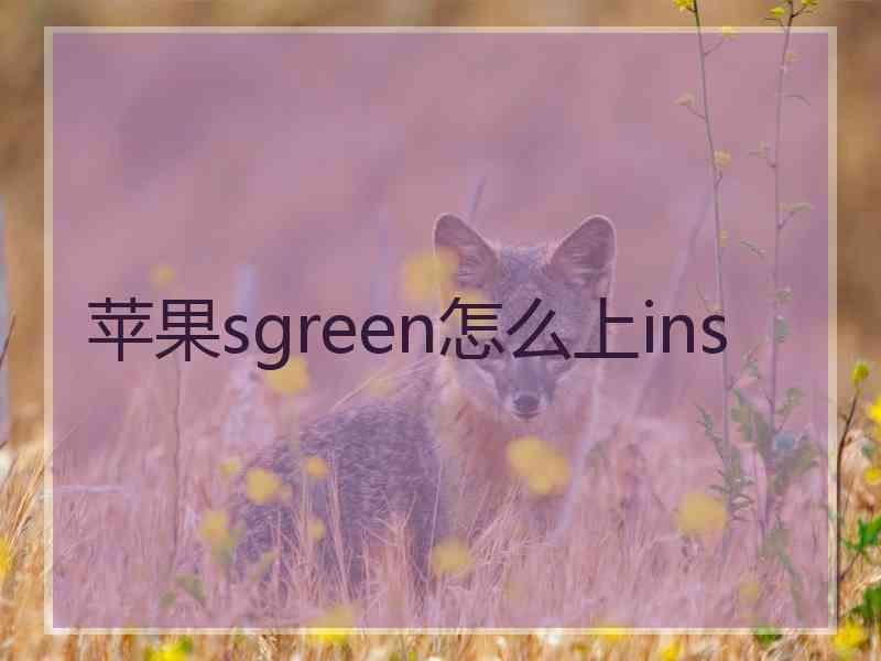 苹果sgreen怎么上ins