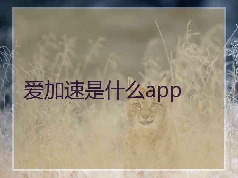 爱加速是什么app