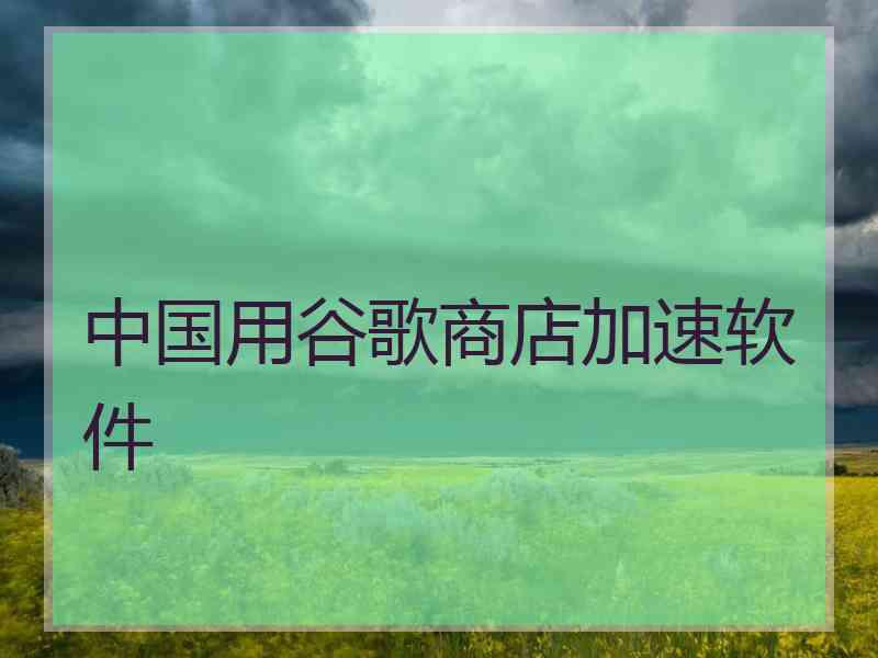 中国用谷歌商店加速软件