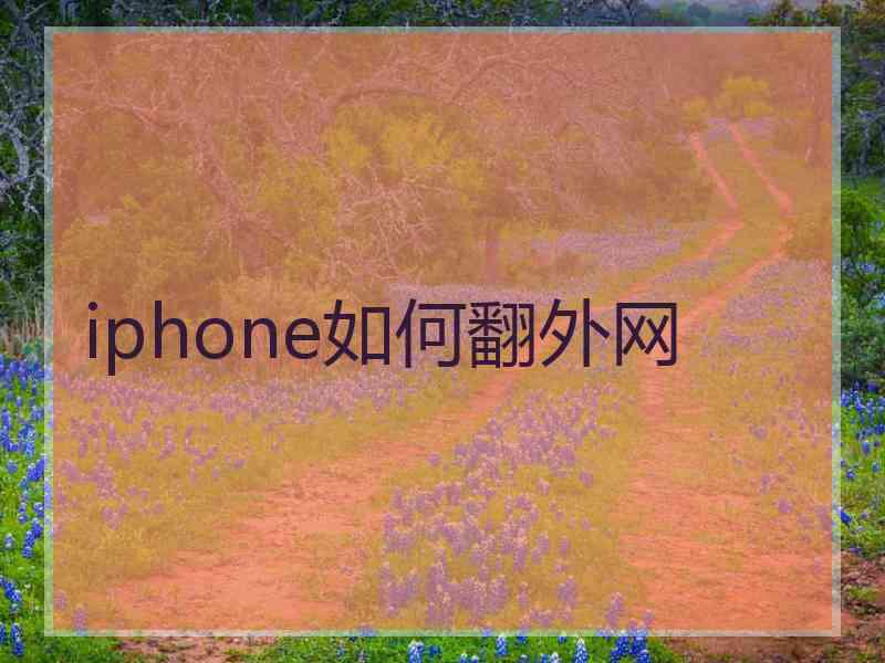 iphone如何翻外网