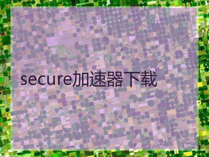 secure加速器下载