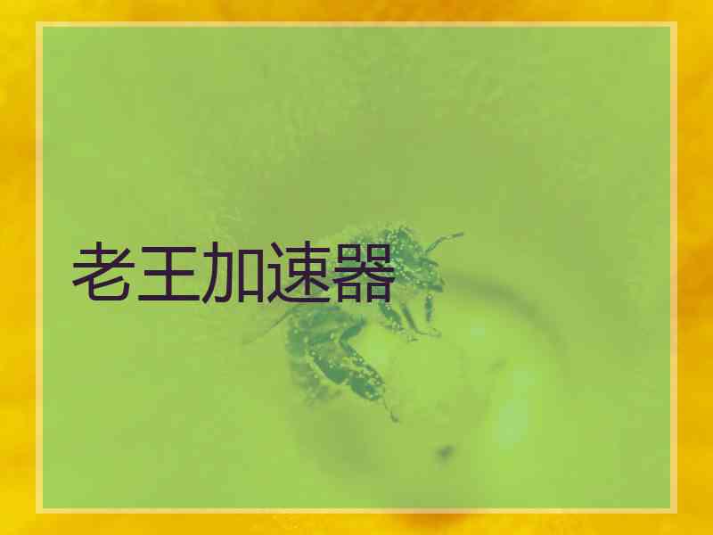 老王加速器