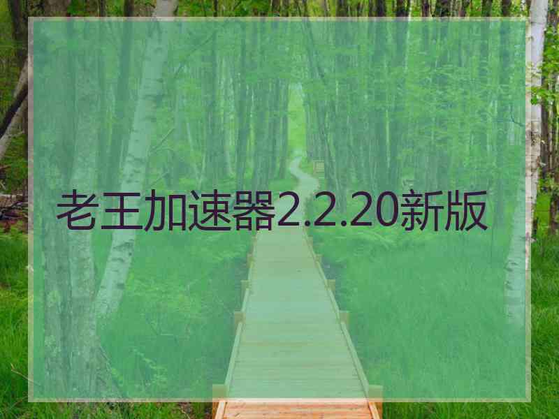 老王加速器2.2.20新版