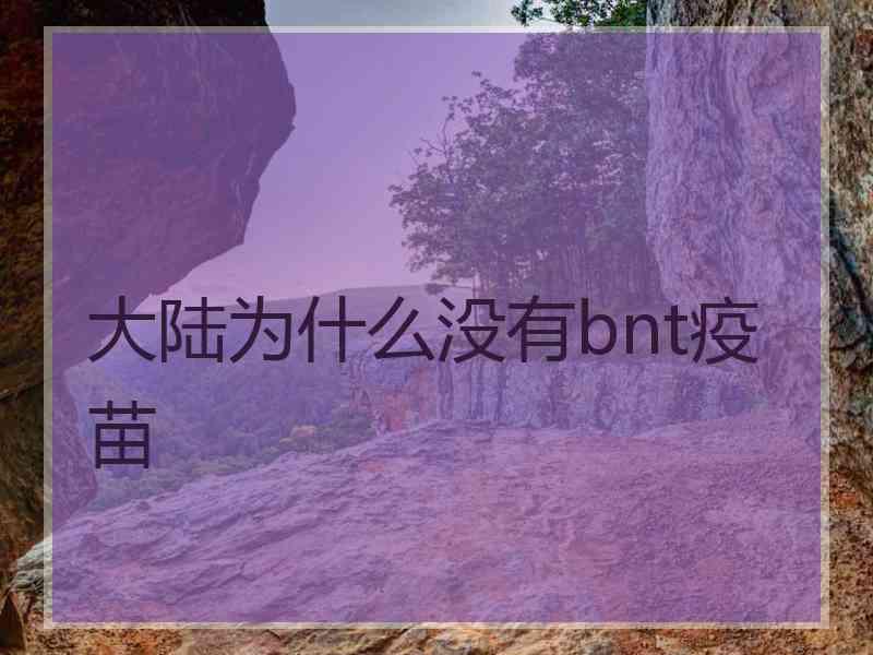 大陆为什么没有bnt疫苗