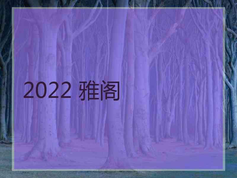 2022 雅阁