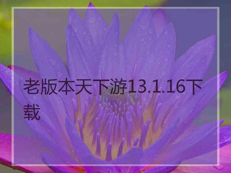 老版本天下游13.1.16下载