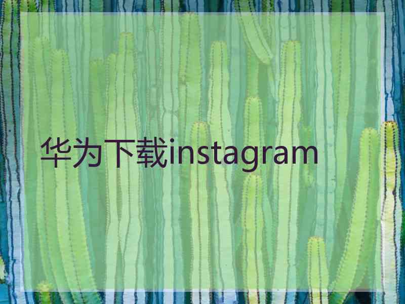 华为下载instagram