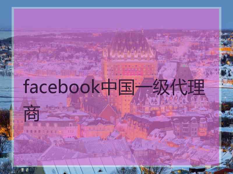 facebook中国一级代理商