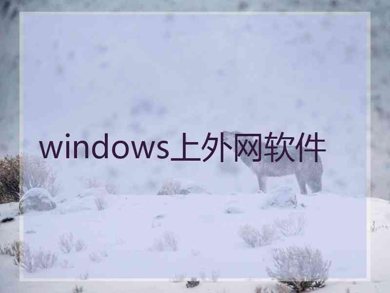 windows上外网软件