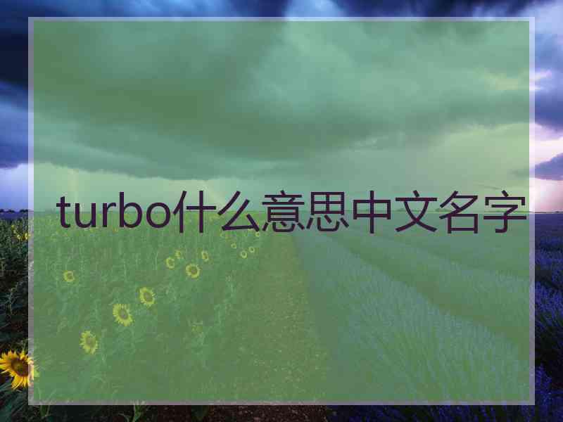 turbo什么意思中文名字