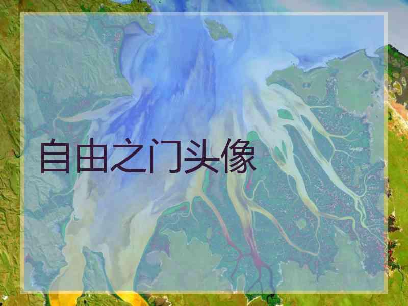 自由之门头像