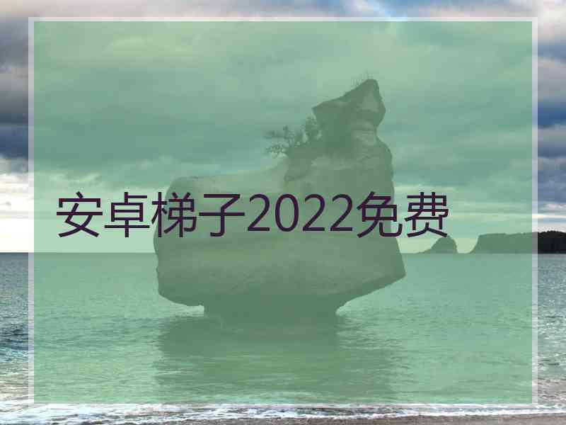 安卓梯子2022免费