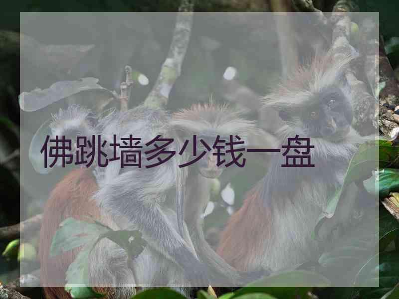 佛跳墙多少钱一盘