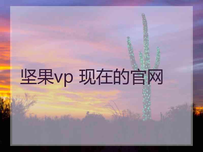 坚果vp 现在的官网