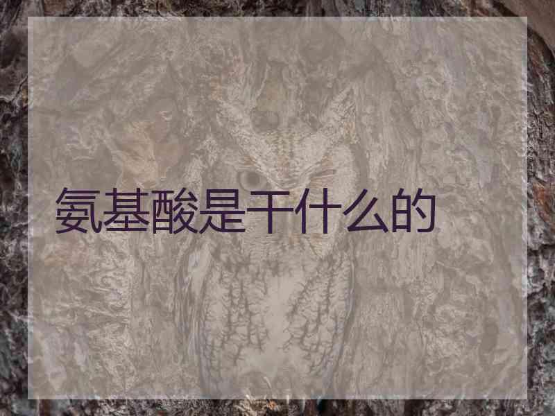 氨基酸是干什么的
