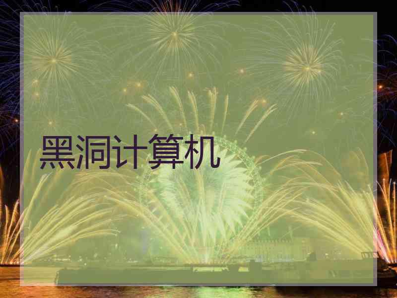 黑洞计算机