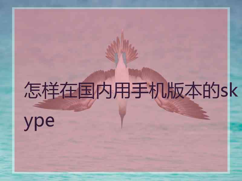 怎样在国内用手机版本的skype