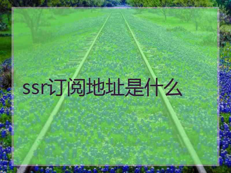 ssr订阅地址是什么