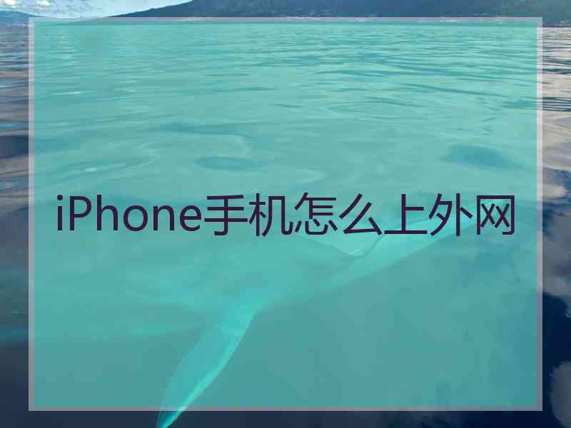 iPhone手机怎么上外网