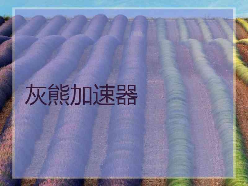 灰熊加速器