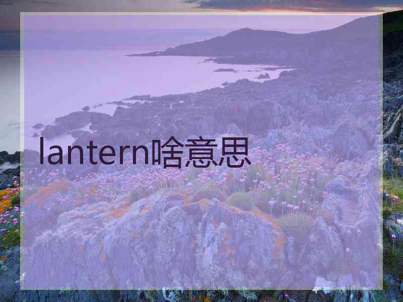 lantern啥意思