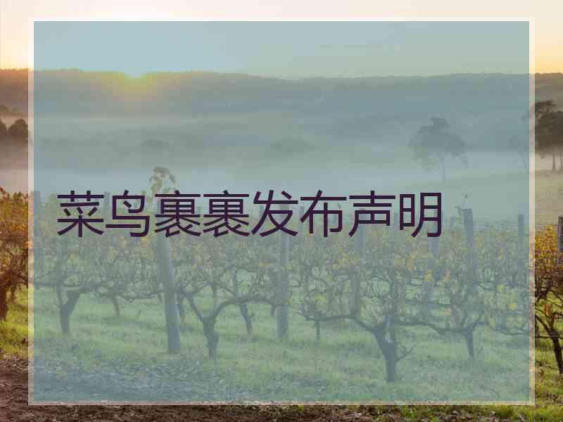 菜鸟裹裹发布声明