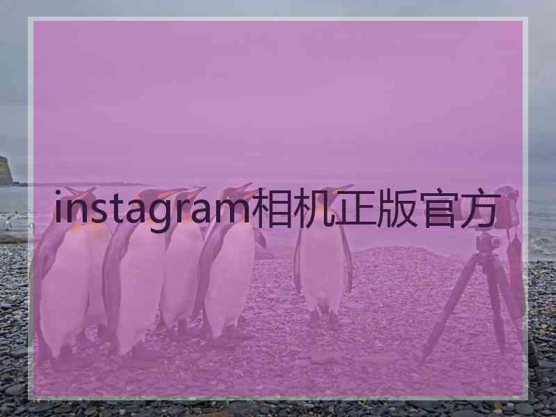 instagram相机正版官方