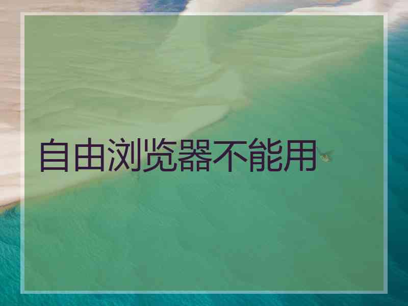 自由浏览器不能用