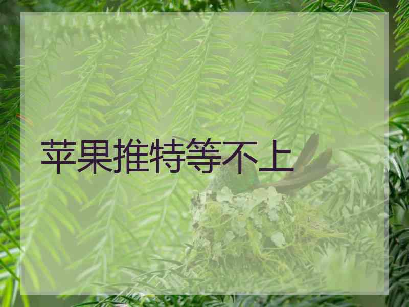 苹果推特等不上