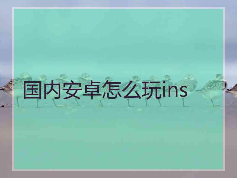 国内安卓怎么玩ins