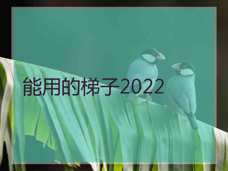 能用的梯子2022