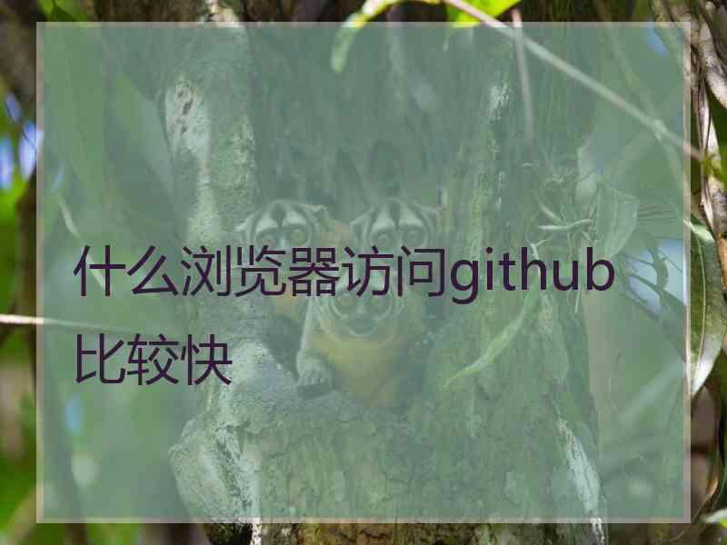 什么浏览器访问github比较快