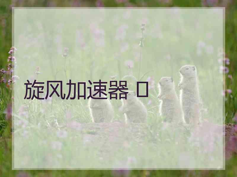 旋风加速器 	