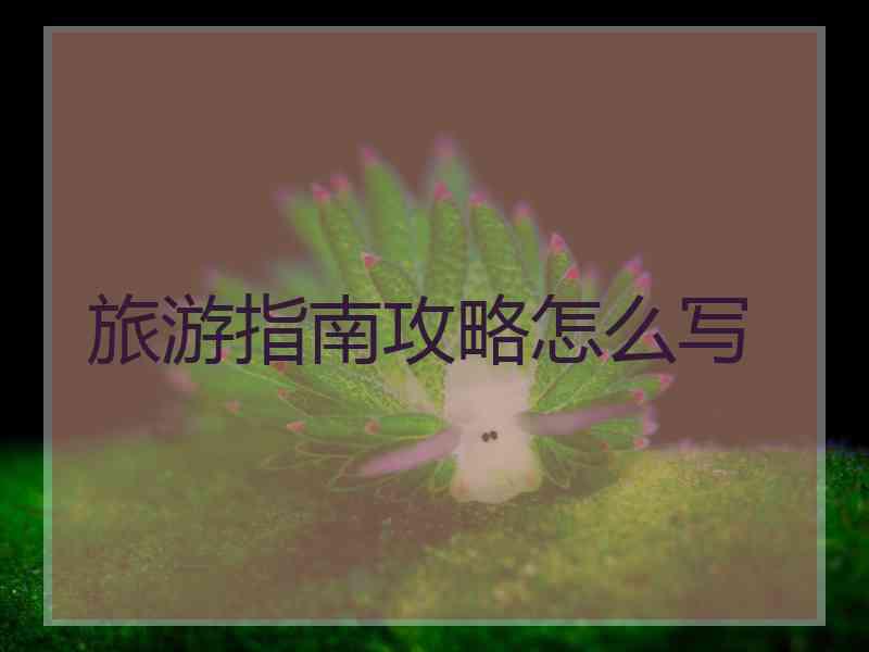 旅游指南攻略怎么写