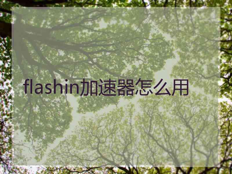 flashin加速器怎么用